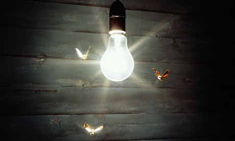 Moth diving towards the&nbsp;light