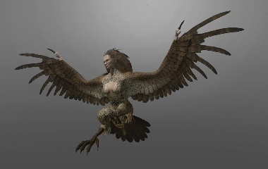 Harpy-380x240